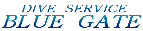 DIVE SERVISE BLUE GATE